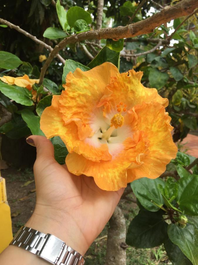 Bella Geribá Búzios Exterior foto
